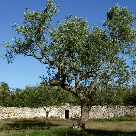Gæstehus Lorenzo In Klanice - Kvarner Region 3*