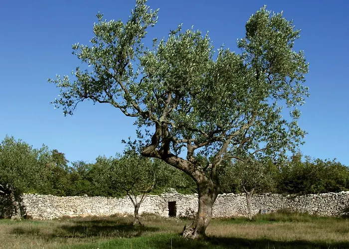 招待所 Lorenzo In Klanice - Kvarner Region 3*